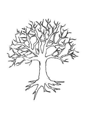 Раскраски Дерево без листьев