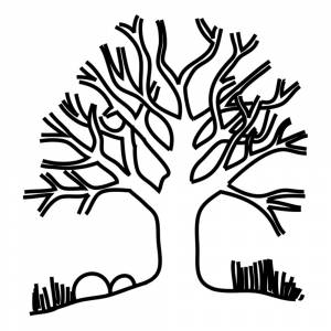 Раскраска Дерево без листьев