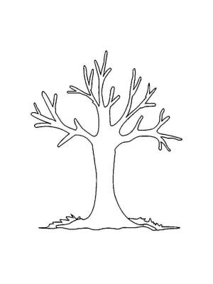 Раскраски Дерево без листьев