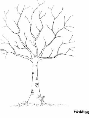 рисуем дерево, дерево набросок, дерево осенью карандашом, голое дерево раскраска береза, шаблон березы без листьев для детей