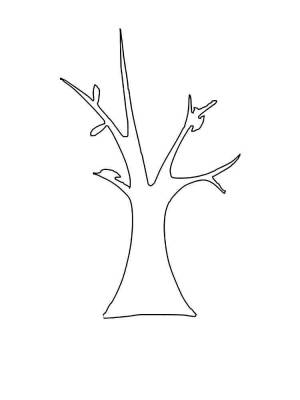 Раскраски Дерево без листьев