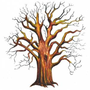 Картинки осеннее дерево без листьев для детей