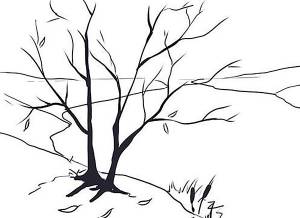 Раскраска дерево без листьев