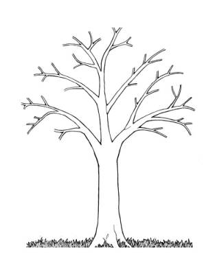 Раскраска дерево без листьев