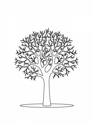 Раскраски Дерево без листьев   в формате