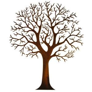 Картинки осеннее дерево без листьев для детей