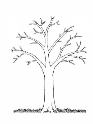 Картинка Дерево без листьев для детей