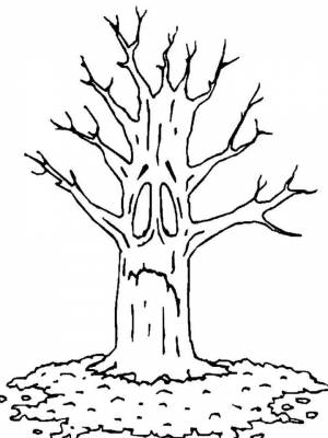 Картинка Дерево без листьев раскраска в формате  онлайн