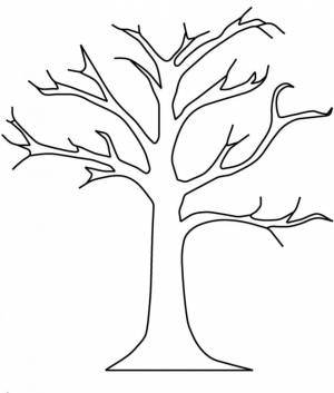 Раскраска Ствол дерева