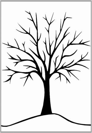 Шаблон дерева без листьев