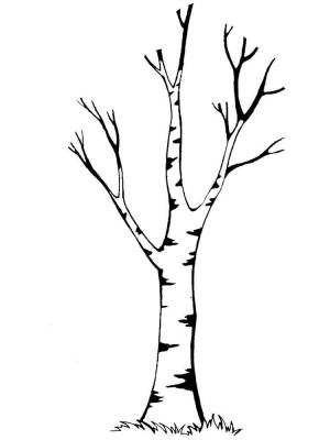 Раскраски Дерево без листьев