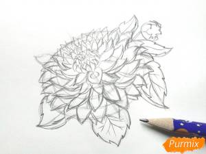 Как нарисовать георгину поэтапно 3 урока