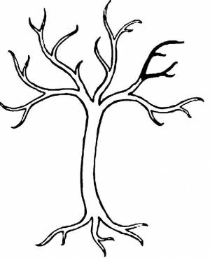 Раскраски Деревья без листьев