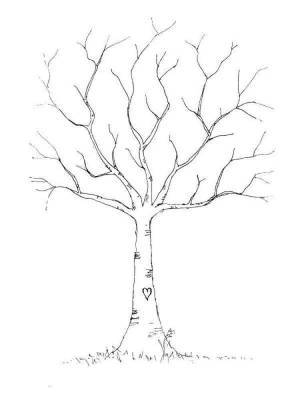 Раскраски Дерево без листьев