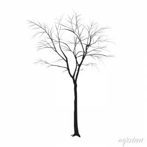 Ствол дерева без листьев плакаты на стену