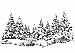 Зимний лес черно белый рисунок