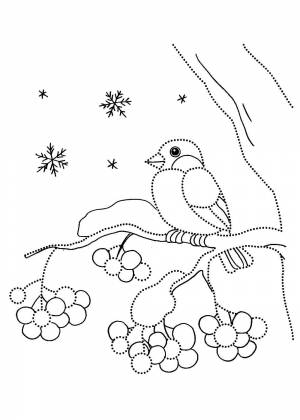 Раскраски Зимний лес