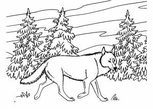 Раскраски Зимний лес