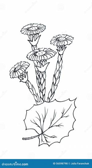 График мать-и-мачеха иллюстрация штока