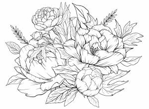 Раскраска растения