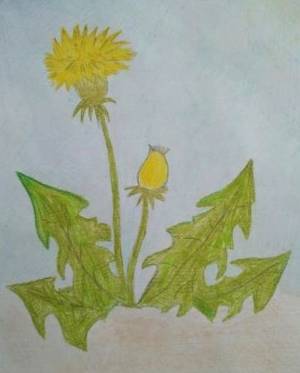 DataLife Engine > Версия для печати > Рисунок детский мать и мачеха