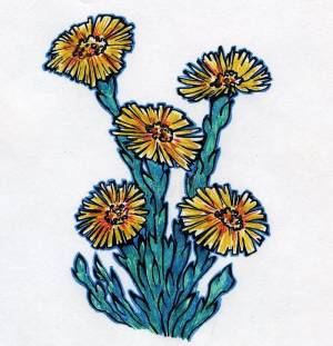 Мать-и-мачеха рисунок карандашом для детей в школу и в детский сад