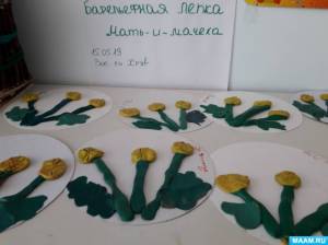 Фотоотчет о выставке барельефной лепке «Лекарственные растения