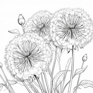 Одуванчик картинка раскраска