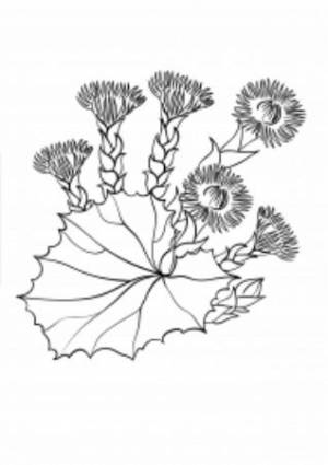 Раскраски Мать и мачеха