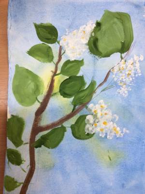 Рисунок черемухи детский