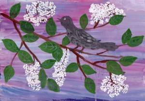 Рисунки черемухи детские