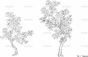 DataLife Engine > Версия для печати > Черемуха рисунок карандашом