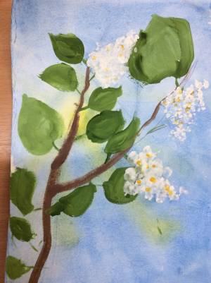 DataLife Engine > Версия для печати > Черемуха рисунок карандашом