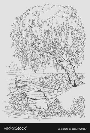 Раскраски Черемуха есенин