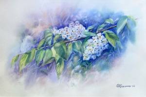 Акварельная картина «Черёмуха» в интернет-магазине Ярмарка Мастеров по цене 2295 ₽