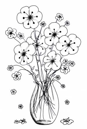 Раскраска незабудка цветок
