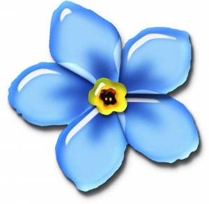 Рисунок незабудка для детей