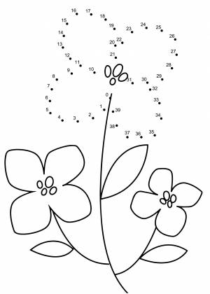 Раскраска Маленькая незабудка