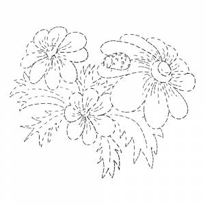 Раскраска Незабудка по точкам