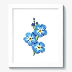 Картина «Незабудки»