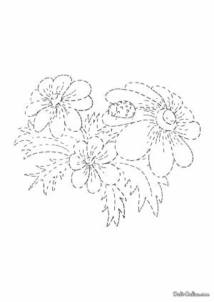 Раскраска Незабудка по точкам