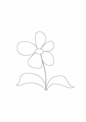 Картинка незабудка цветок раскраска