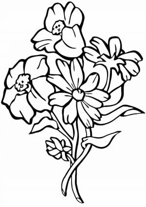 Раскраски Незабудка