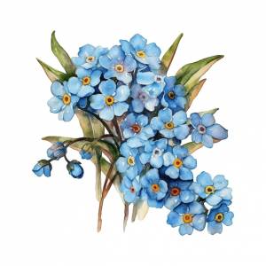 Незабудка цветы акварельные краски