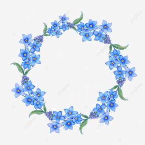 Акварель голубая незабудка цветочная романтическая рамка PNG , акварель, Рамка, цветы PNG картинки и пнг PSD рисунок для й загрузки