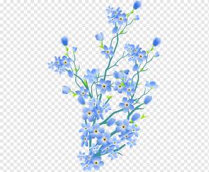 Иллюстрация цветы незабудки, Розовые цветы Срезанные цветы Цветочный дизайн Blume, цветок, синий, ветка, растение Стебель png
