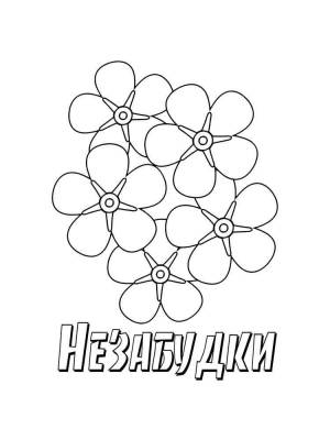 Раскраска Незабудка