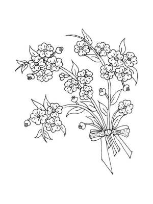 Раскраска Незабудка