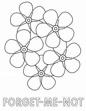 Раскраски Незабудки