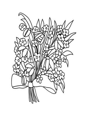 Раскраска Незабудка